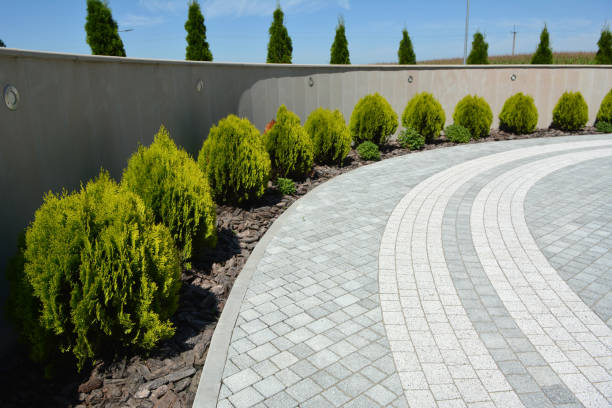 Best Residential Driveway Paving in Lake Nacimiento, CA